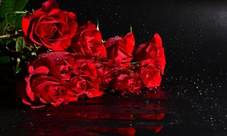 * Red roses * - roses, water drops, wet, flowers, red roses