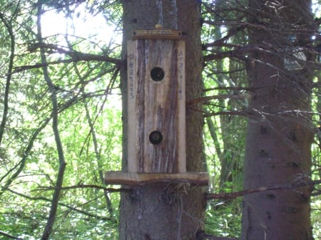 Bird Home sweet home - trees, nest, tall, wood