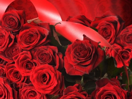 Red Roses - flowers, ribbon, red roses, still life