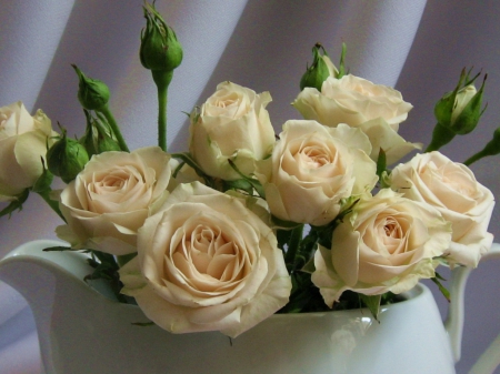 white roses in a teapot