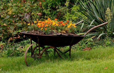 Garden Decor - summer decor, yard decor, Garden Decor, plow