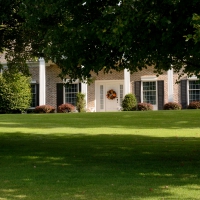 House in the woods