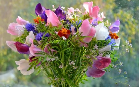 Flowers - bouquet - colorful, bouquet, polka dots, flowers