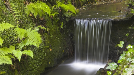 Waterfall - moss, waterfalls, ferns, nature