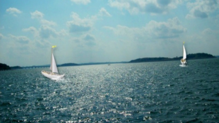 ~*~ Harbor Cruises - Boston Mass ~*~ - nature, ocean, boats, hd wallpaper, landsxape