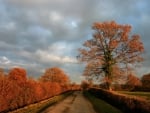 Clouds over Autumn Road