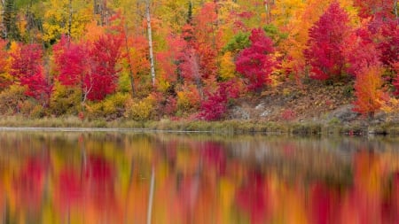 Autumn Forest Lake Reflection - reflections, nature, autumn, trees, forests