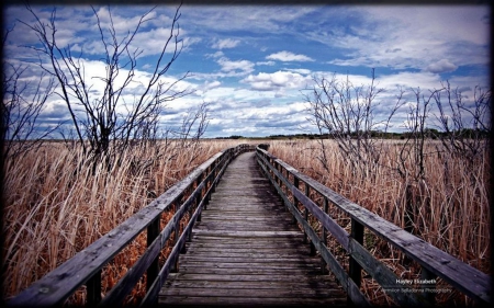 Manitoba boardwalk - clouds, abstract, summer, photography, road, landscape, scene, HD, path, autumn, boardwalk, natute, sky, wallpaper