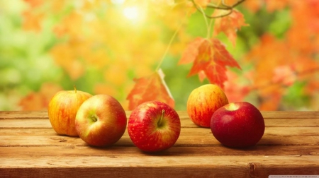 Fall apples - autumn, fruits, photography, wallpaper, leaf, still life, hd, abstract, fall, leaves, food, apple