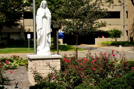 The Virgin Mary - holy mother, The Virgin Mary, mercy medical, mary statue, mary