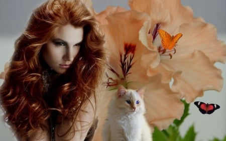 tangerine dream - dream, girl, fantasy, cat