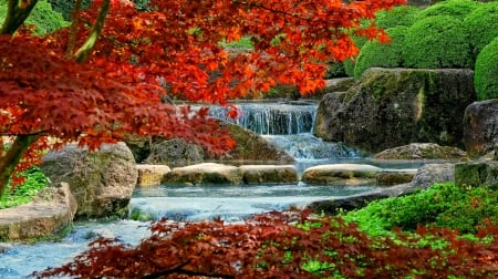 Autumn Waterfall - branches, autumn, water, waterfall, rocks, bushes, fall, leaves, tree