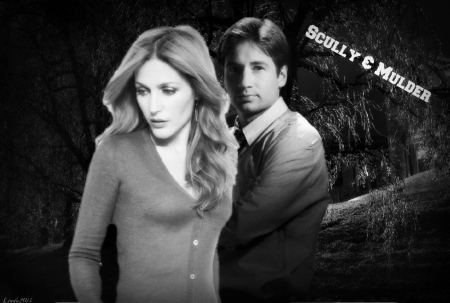 Scully & Mulder - tv series, dana scully, x-files, fox mulder