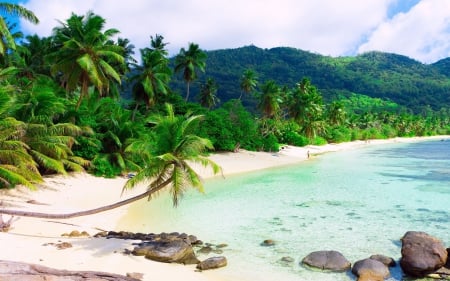 Tropical Beach - nature, beaches, sand, rocks