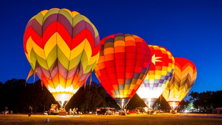 Hot Air Balloons - balloons, colors, trees, photography