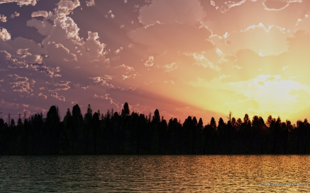 lake light - lake, tree, ocean, water