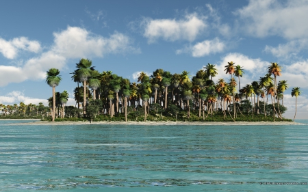 small islands - tree, palm, ocean, island