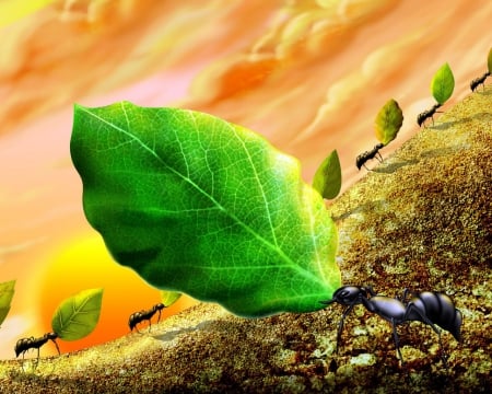 high spirits - insect, ant, leaf, green