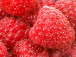 raspberry