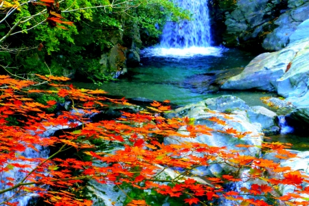 AUTUMN FALLS - nature, park, autumn, falls