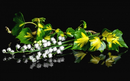 Still Life - white, black, flowers, leaf, still life