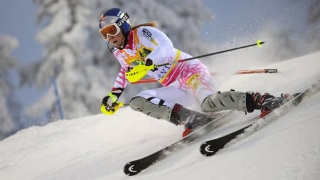 fast skiing - snow, ski, tree, woman