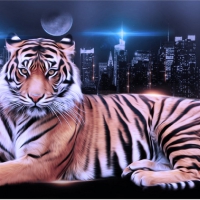 Tiger in the City