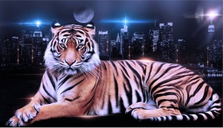 Tiger in the City - city, night, tiger, cat