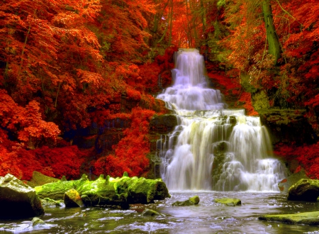 Autumn Waterfall - trees, water, falls, rock, grass, logs, forests, nature, waterfall, autumn, red, green