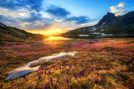 New day - summer, landscape, meadow, sunrise, photo, mountain, flowers, peak, twin lake, cliffs, field, lake, sky, Rila, beautiful, slope, beauty, morning, lovely, Bulgaria, glow, rays, crocuses, autumn, born, fiery, day, new, shine