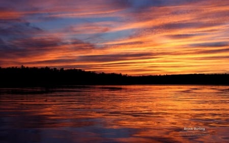 Painted sky X. - sky, photography, sun, water, sunset, reflection, clouds, dusk, scene, lake, landscape, wallpaper, hd, nature, abstract, forest, dawn, sunrise