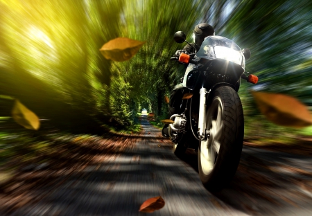 Motor - Motor, driving, forest, motorcycle racer, man