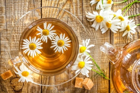 Tea Time - petals, tea, tea time, flowers, daisy, daisies, cup