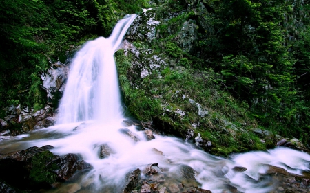 Forest Waterfall