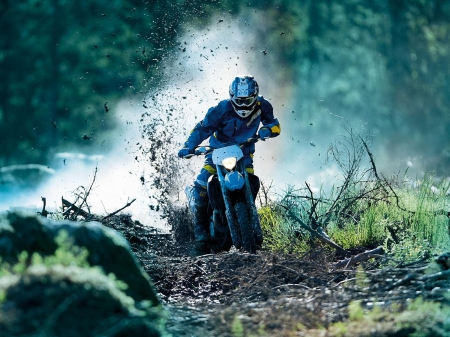 biker - dirt, motorcycle, rider, grass