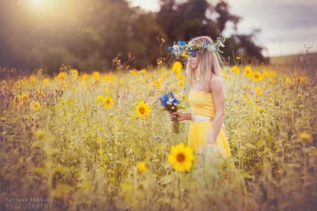 Summer Beauty - flowers, summer, fields, beauty