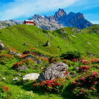 House on mountain hills