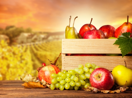 Autumn Fruits - autumn, fall, fruits, leaves, grapes, autumn splendor, apples