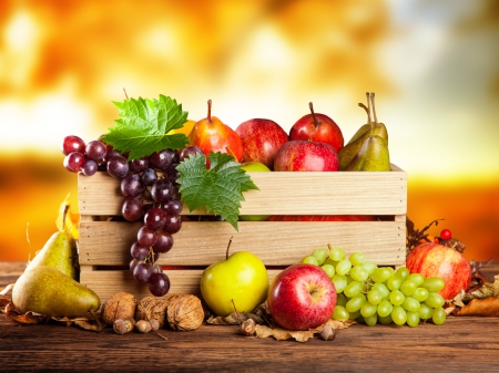 Autumn Fruits - fall, grapes, apples, autumn, autumn splendor, fruits, leaves