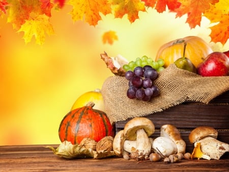 Autumn - fall, grapes, apples, autumn, autumn splendor, fruits, leaves