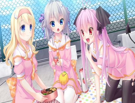 Lunch Time - love, girls, bento, lunch, school, long hair, cg, game, uniform, friends, cute