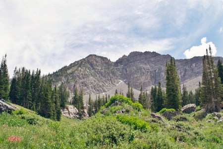 Utah Mountain - utah, forest, cool, fun, nature, mountain