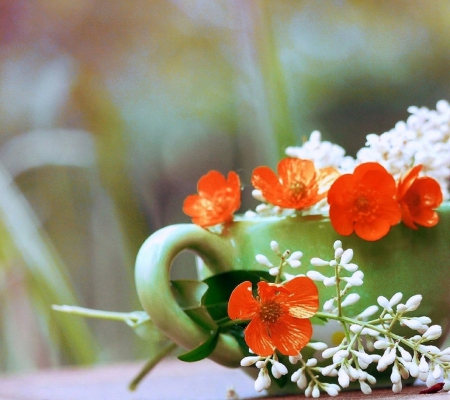 ✿⊱•╮Pretty in Cup╭•⊰✿ - pretty, creative pre-made, beautiful, photography, colors, lovely, love, still life, sweet, flowers, conceptual, love four seasons, cup