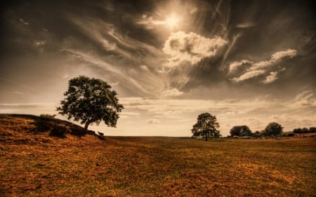 black sky day - cloud, tree, landscape, grass