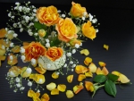 yellow roses and petals