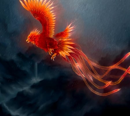 Bird with fire - flying, dark, fire, bird