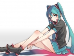 ~Hatsune Miku~