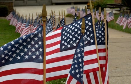 Patriot Day - patriot, red white and blue, american flag, Patriot Day, stars and stripes, old glory