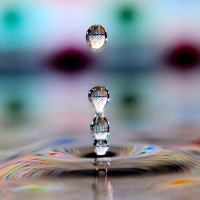 Water Drops