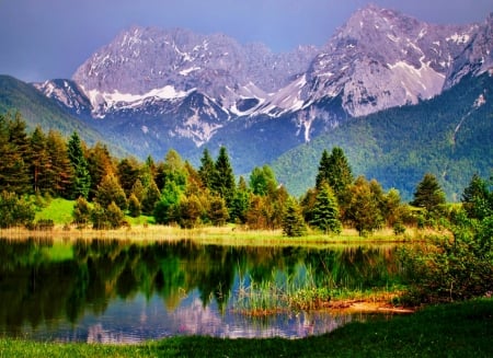 Luttensee - lake, forest, reflection, beautiful, alps, mountains, grass, germany